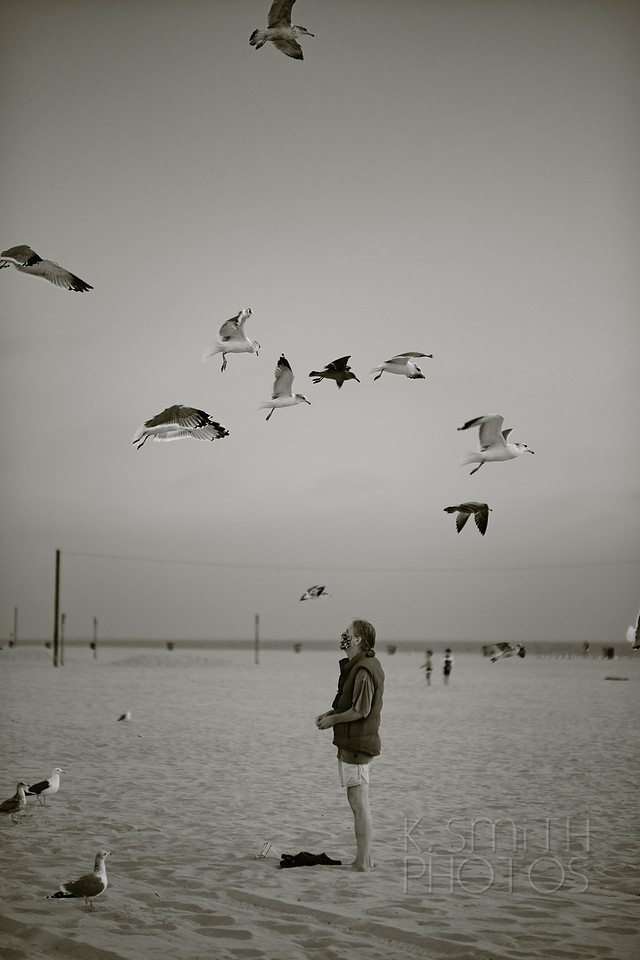 Man and Seaguls