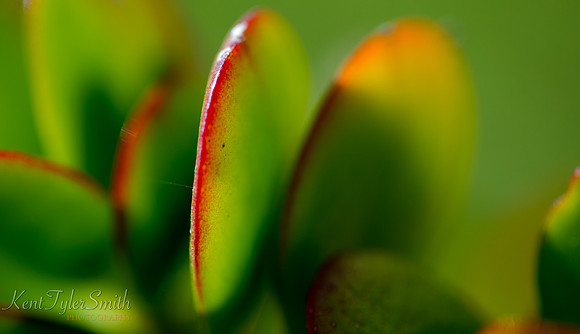 JA4_3970